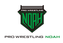 Pro Wrestling NOAH